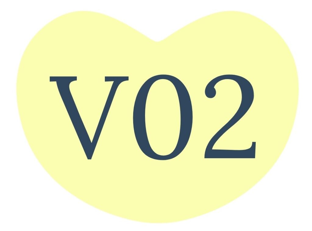 V02